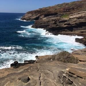 Meet your Posher, Jackie